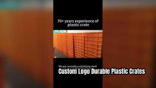 جعبه های پلاستیکی سفارشی پشته و آشیانه با چاپ روی صفحه آرم | راه حل برندسازی بادوام برای Logis