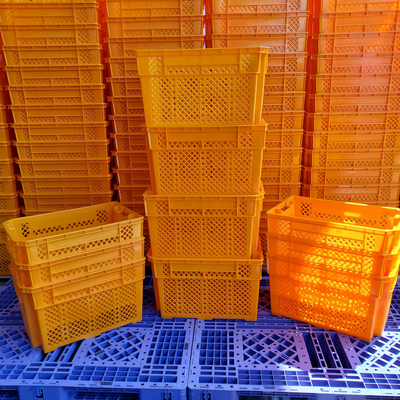 خرید ناقابل انعطاف Crate Mesh Fram Storing Fruits And Vegetables Stackable Container سبد پلاستیکی تولید آنلاین